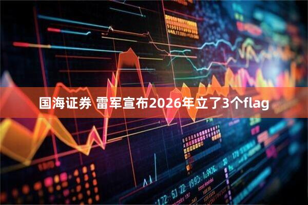 国海证券 雷军宣布2026年立了3个flag