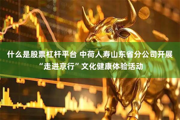 什么是股票杠杆平台 中荷人寿山东省分公司开展“走进京行”文化健康体验活动