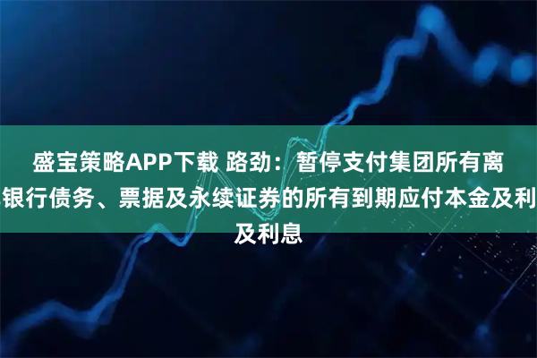 盛宝策略APP下载 路劲：暂停支付集团所有离岸银行债务、票据及永续证券的所有到期应付本金及利息